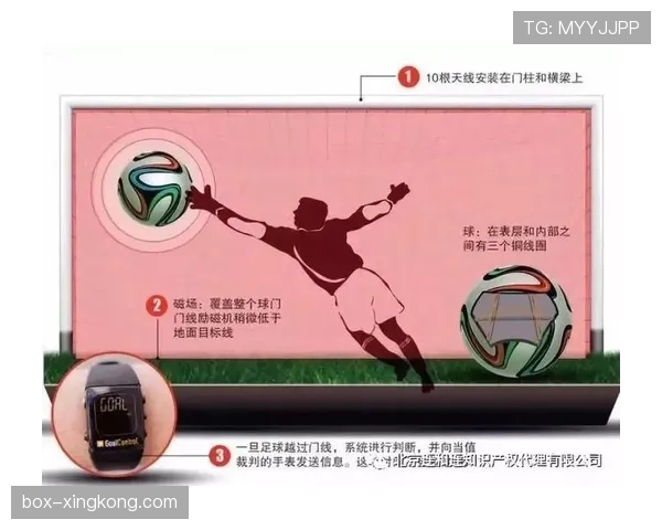 门线判定：球完全越线与门线技术证据的裁判判罚标准