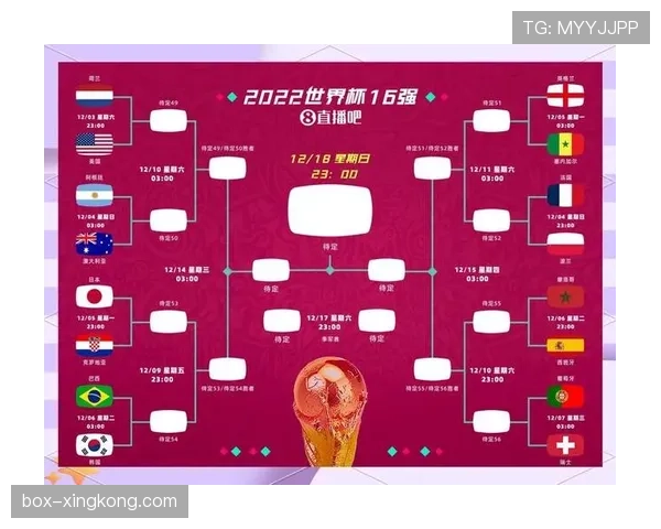 世界杯传统强队争冠阵容排名前十分析